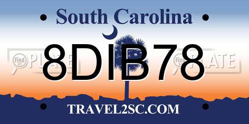 8DIB78 South Carolina License Plate