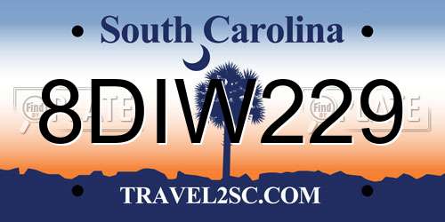 8DIW229 South Carolina License Plate