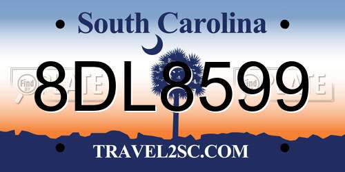 8DL8599 South Carolina License Plate