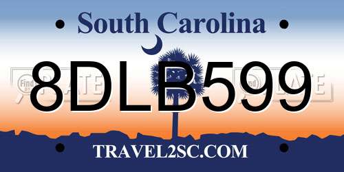 8DLB599 South Carolina License Plate