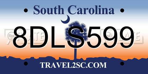 8DLS599 South Carolina License Plate