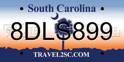 8DLS899 South Carolina License Plate