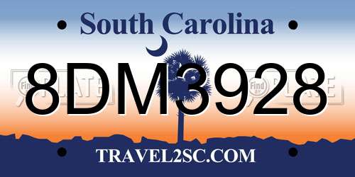 8DM3928 South Carolina License Plate