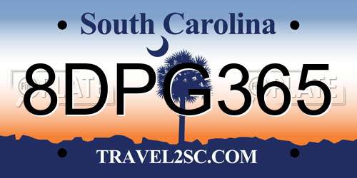 8DPG365 South Carolina License Plate