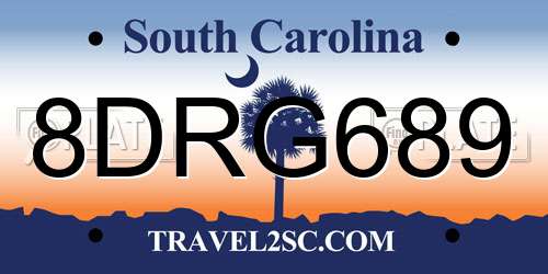 8DRG689 South Carolina License Plate