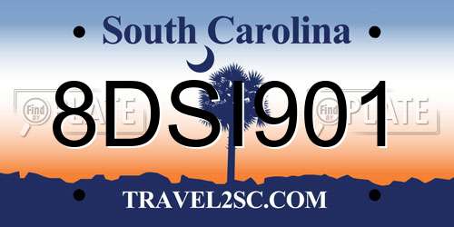 8DSI901 South Carolina License Plate