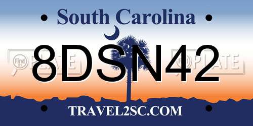 8DSN42 South Carolina License Plate