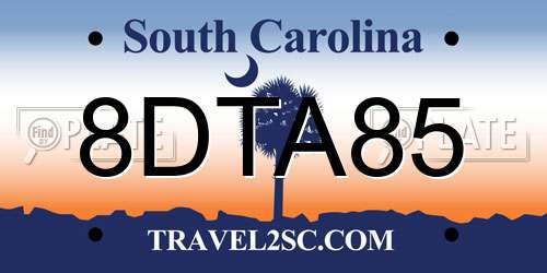 8DTA85 South Carolina License Plate