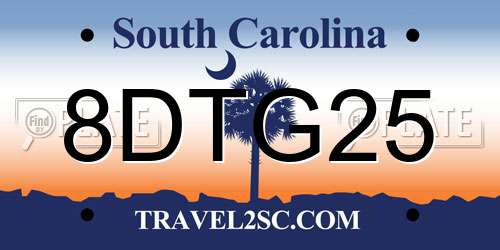 8DTG25 South Carolina License Plate