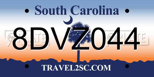 8DVZ044 South Carolina License Plate