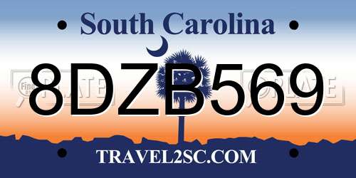 8DZB569 South Carolina License Plate
