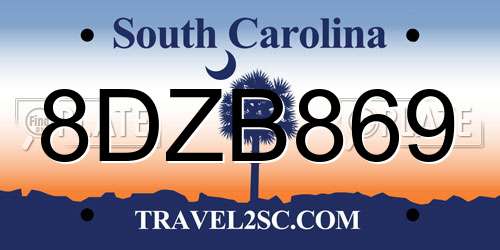 8DZB869 South Carolina License Plate