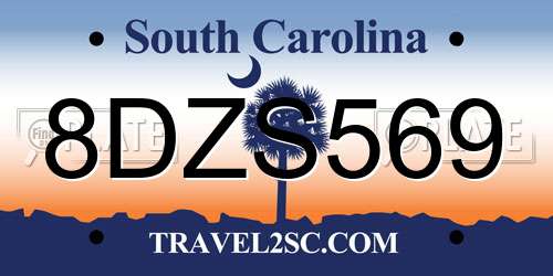 8DZS569 South Carolina License Plate