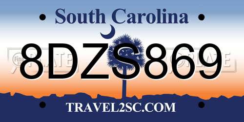 8DZS869 South Carolina License Plate