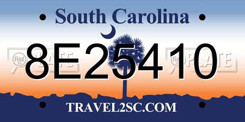 8E25410 South Carolina License Plate