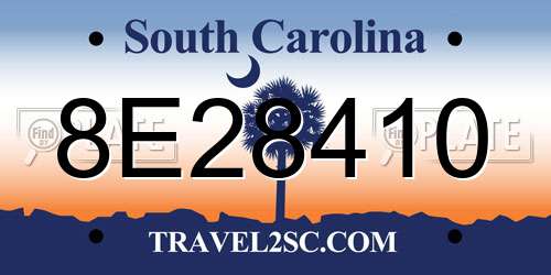 8E28410 South Carolina License Plate