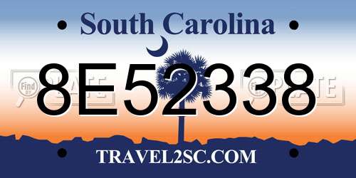 8E52338 South Carolina License Plate