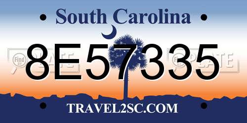 8E57335 South Carolina License Plate