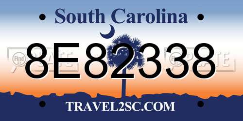 8E82338 South Carolina License Plate