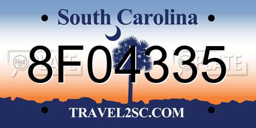 8F04335 South Carolina License Plate