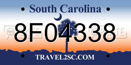 8F04338 South Carolina License Plate
