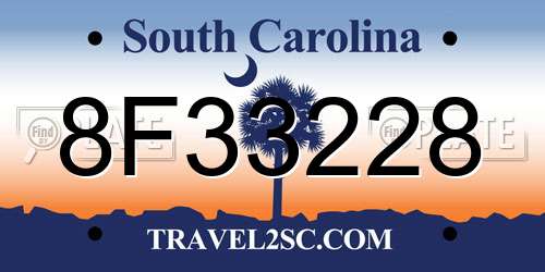 8F33228 South Carolina License Plate
