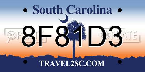 8F81D3 South Carolina License Plate