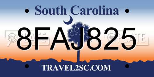 8FAJ825 South Carolina License Plate