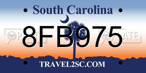 8FB975 South Carolina License Plate