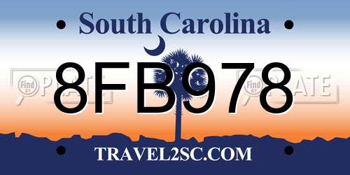 8FB978 South Carolina License Plate