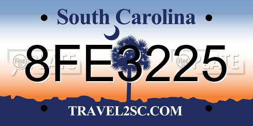 8FE3225 South Carolina License Plate
