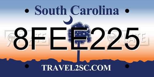 8FEE225 South Carolina License Plate