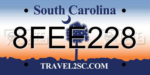 8FEE228 South Carolina License Plate