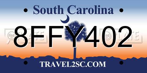 8FFY402 South Carolina License Plate