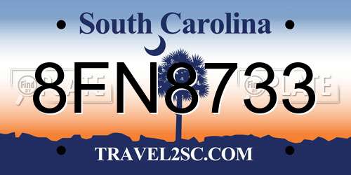 8FN8733 South Carolina License Plate