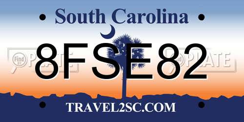 8FSE82 South Carolina License Plate