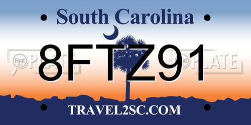 8FTZ91 South Carolina License Plate