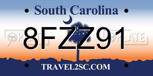 8FZZ91 South Carolina License Plate