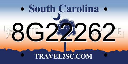 8G22262 South Carolina License Plate