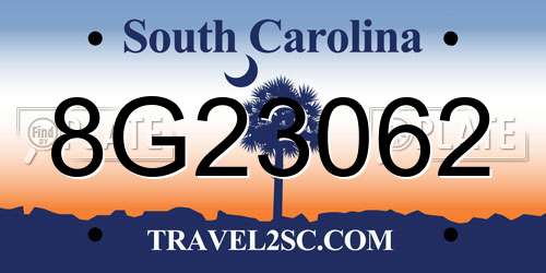 8G23062 South Carolina License Plate