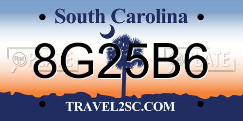 8G25B6 South Carolina License Plate