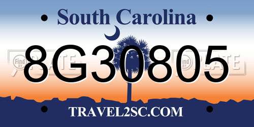 8G30805 South Carolina License Plate