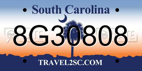 8G30808 South Carolina License Plate