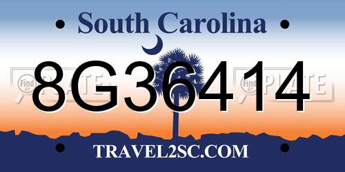 8G36414 South Carolina License Plate