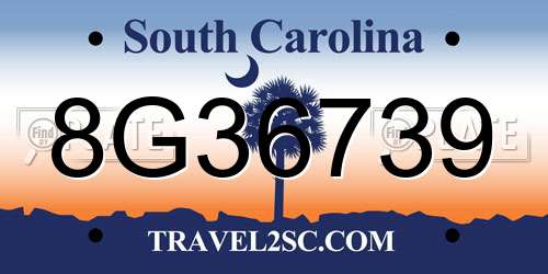 8G36739 South Carolina License Plate