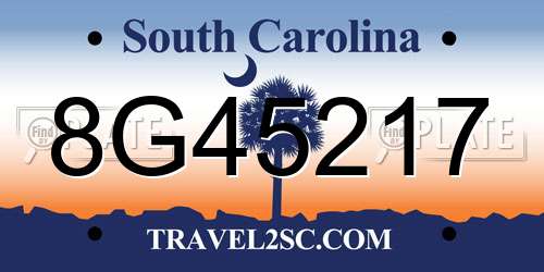 8G45217 South Carolina License Plate