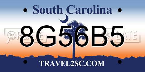 8G56B5 South Carolina License Plate