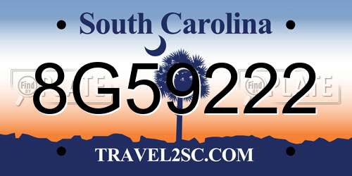 8G59222 South Carolina License Plate