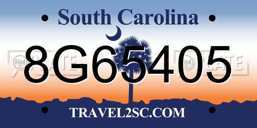 8G65405 South Carolina License Plate