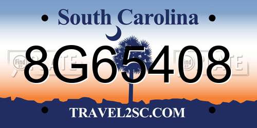 8G65408 South Carolina License Plate